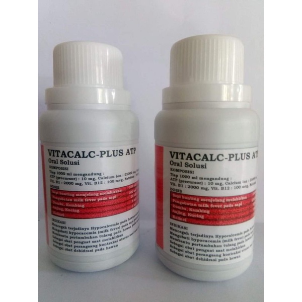 VITACALC Plus ATP (Vitamin, Calcium/Elektrolit Konsentrasi tinggi  dan ATP)
Stamina dan Daya tahan t