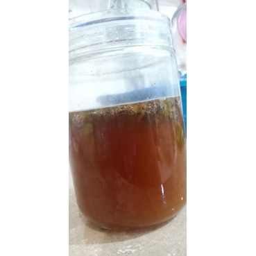 

raisin yeast water/ ragi air kismis natural @70ml