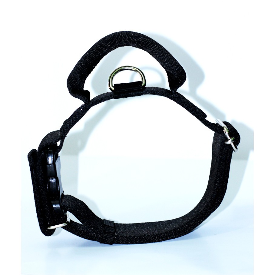 Dog Collar, Kalung Anjing Dengan Handle dan Sefety Pengunci