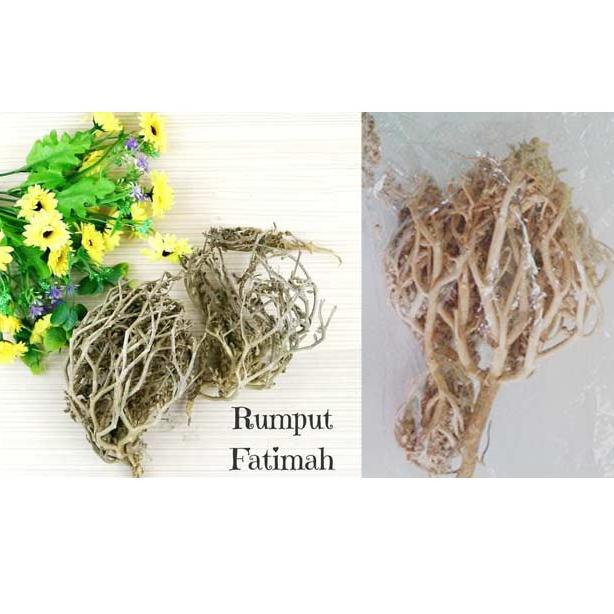 

[KODE CGSQT] HERBAL PELANCAR PERSALINAN RUMPUT FATIMAH SANGAT BAGUS BUAT IBU HAMIL JUGA, ORIGINAL ARAB SAUDI