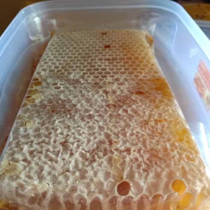 

madu sarang apis melifera 500 gr