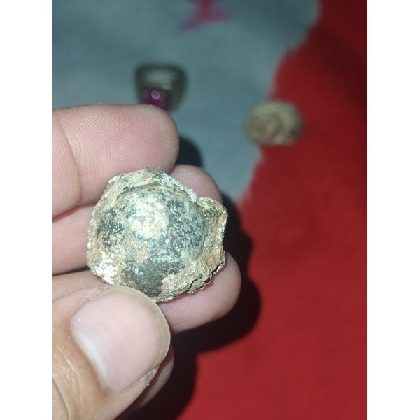 original temuan sungai