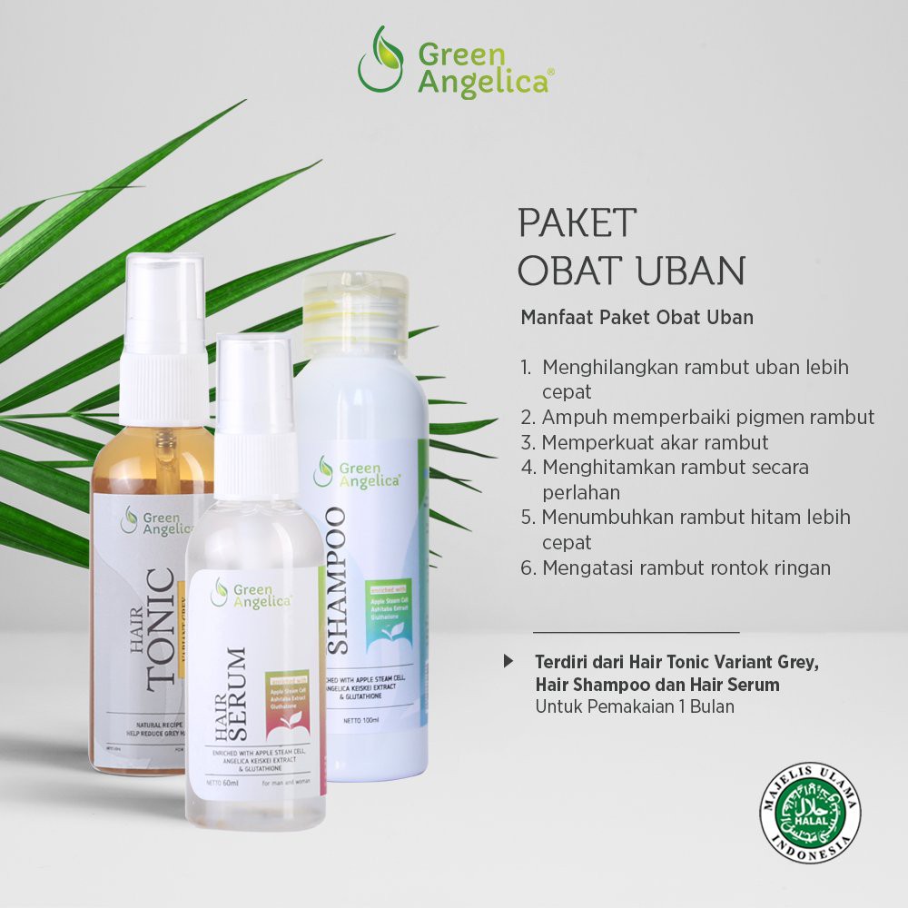 GREEN ANGELICA PAKET PENGHITAM RAMBUT ORIGINAL