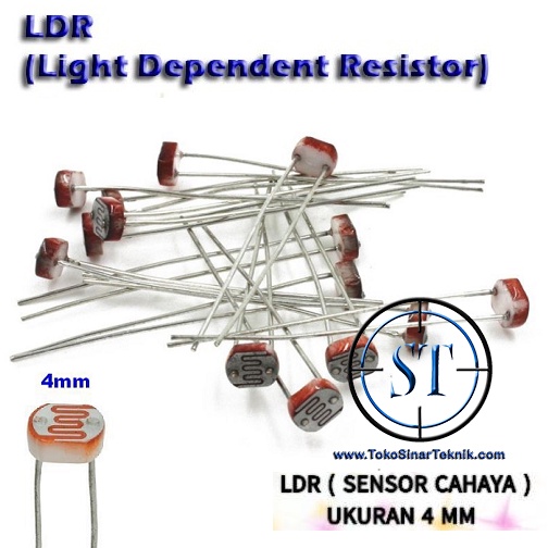 x5 LDR Kecil 4mm  Sensor Cahaya Kecil light Dependent Resistor Peka Cahaya Sensor Resistansi Ohm Photo Resistor isi  5 Buah