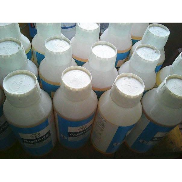 Rayap Basmi Dengan Agenda 25 EC