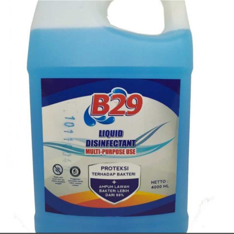 Disinfektan cair B29 4L