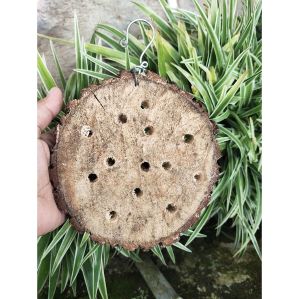 PAPAN TEMPEL ANGGREK