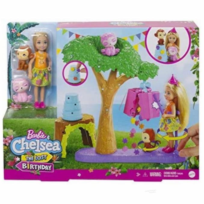 Barbie Doll Special Chelsea Feature Set