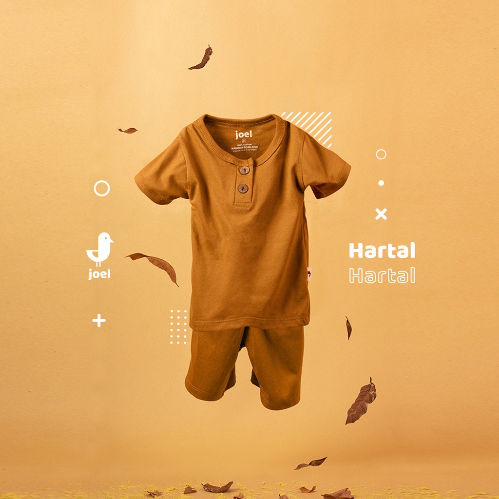 Joel Semesta Series - Setelan Baju Bayi Pendek Newborn - 2 Tahun