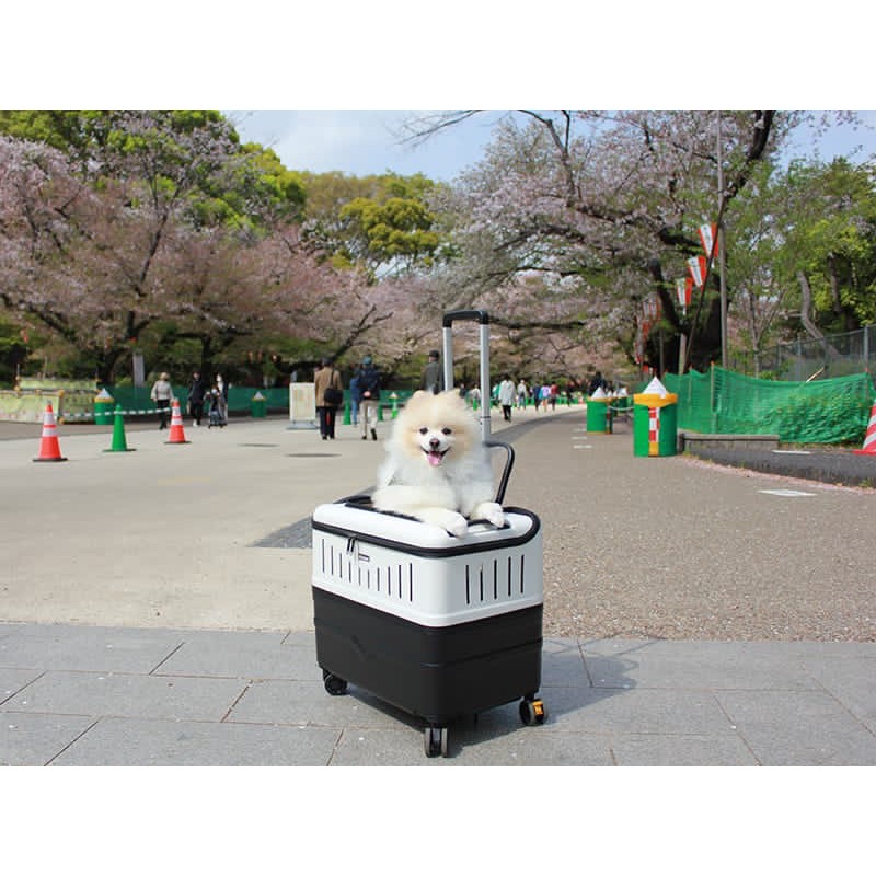 PRESIDENT PET CASE 1057 PET STROLLER KOPER ANJING KUCING PET CARGO