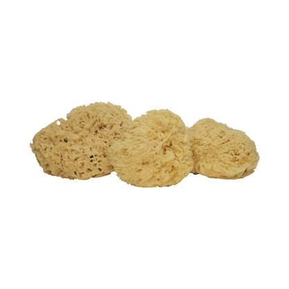 [GERMANY] NATURAL SEA SPONGE for baby / for face / for body
