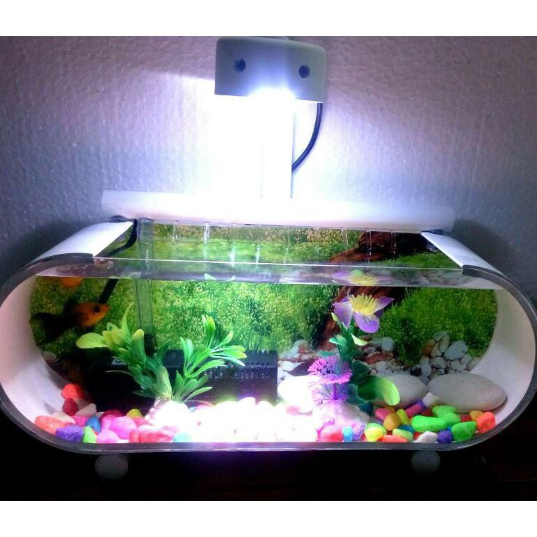 Aquarium Unik / 11 Desain Aquarium Mini Dan Unik Cocok Untuk Hiasan