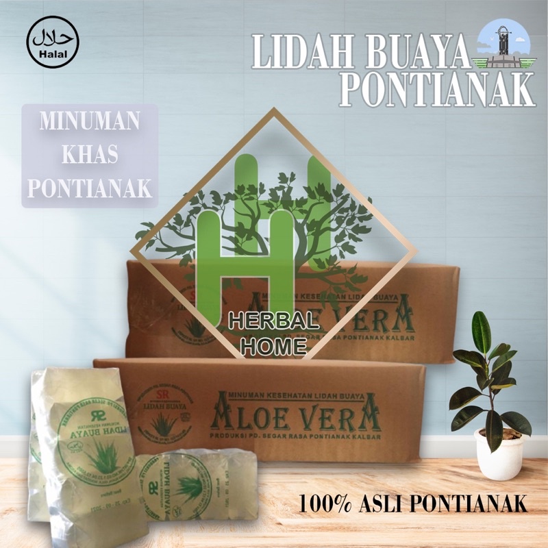 

AIR LIDAH BUAYA/ALOEVERA 100% ASLI PONTIANAK SIAP PINUM.