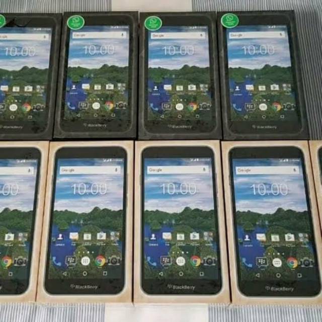 Blackberry aurora New