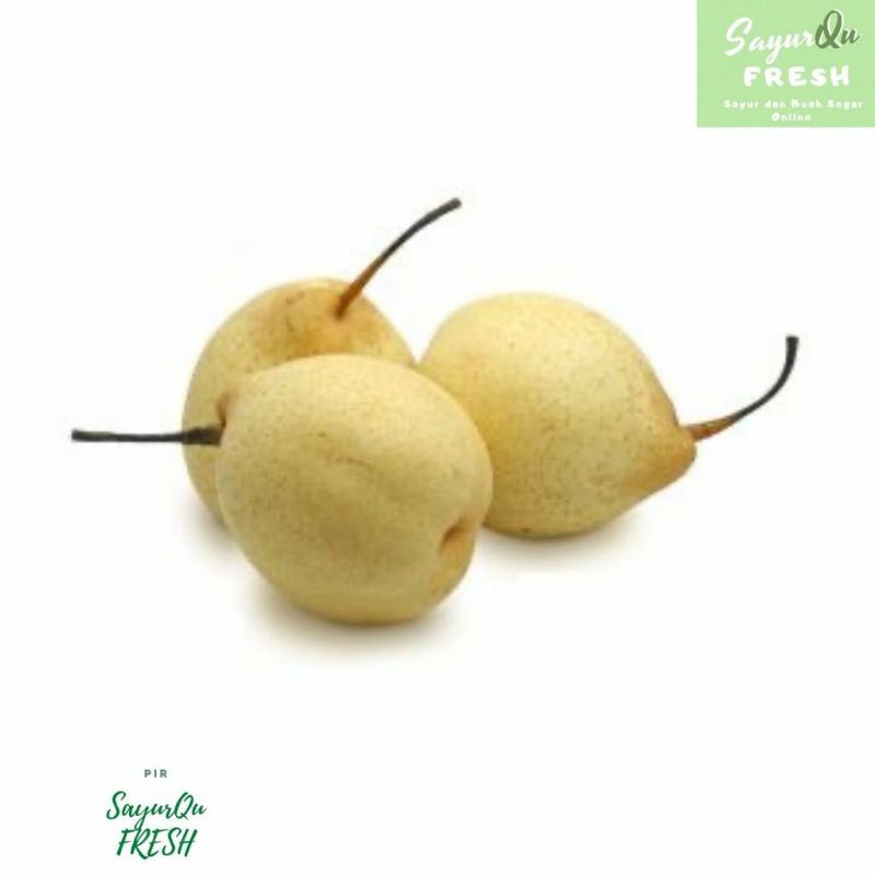 

Pir Century 1000 gram