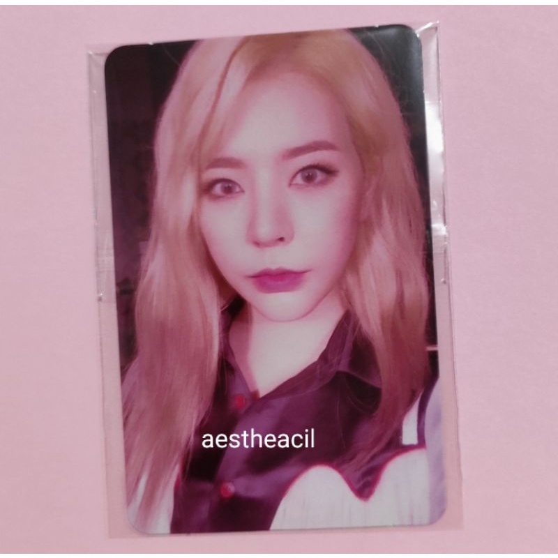 Sunny Holiday Night Official Photocard