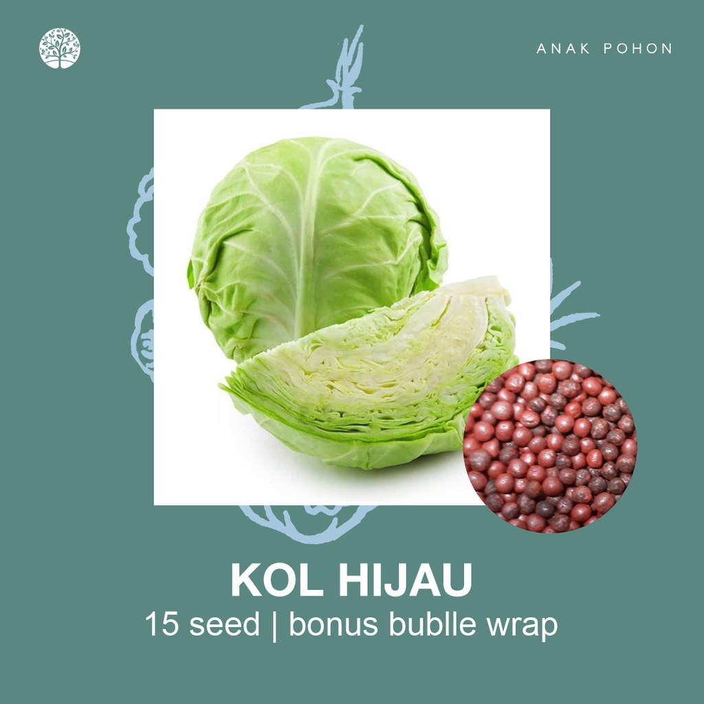 SERBA SERIBU - Benih Bibit Biji - Paket Benih Sayuran DAUN Termurah Kangkung Sawi Selada Seledri Kol-Kol / Kubis Hijau
