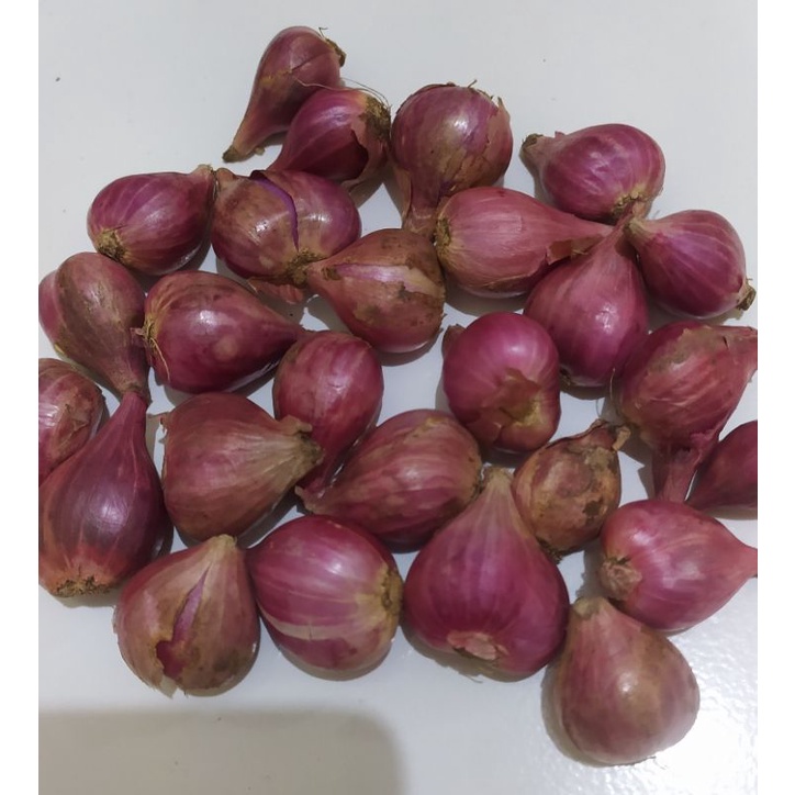 

bawang merah asli brebes