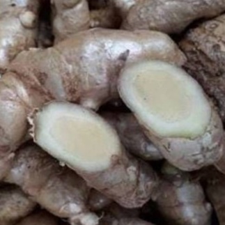 

Kunyit Putih/ Curcuma zedoaria/ 1kg