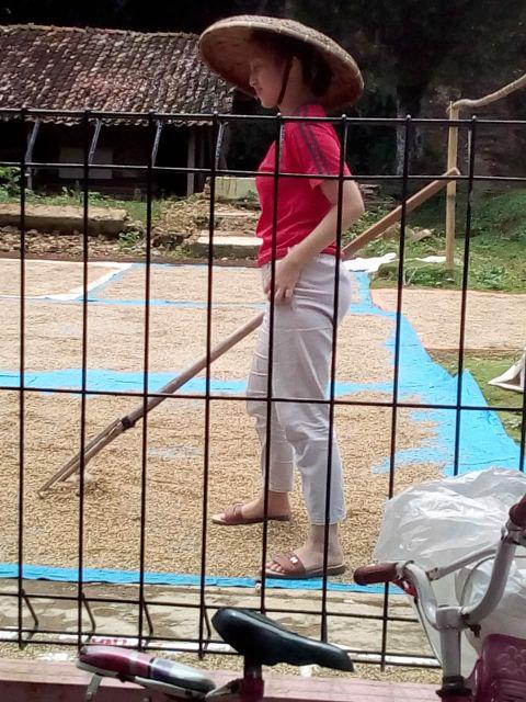 Bonus Skrup Kaki Sofa Meja Lemari Kitchen Nakas Tabung Bulat 8 Cm