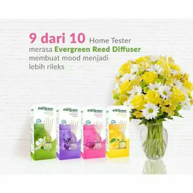 Evergreen Air Freshener Reed Diffuser Aroma therapy Aromatherapy pewangi ruangan-4