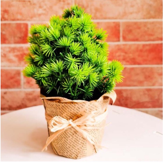 TANAMAN BUNGA PLASTIK DEKORASI RUMAH TANAMAN HIAS TREND MURAH IMPORT COD Phoenix Grass-3