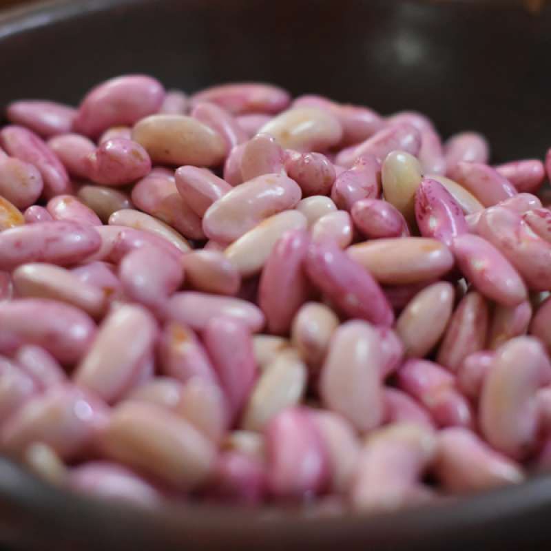 

kacang merah kupas segar