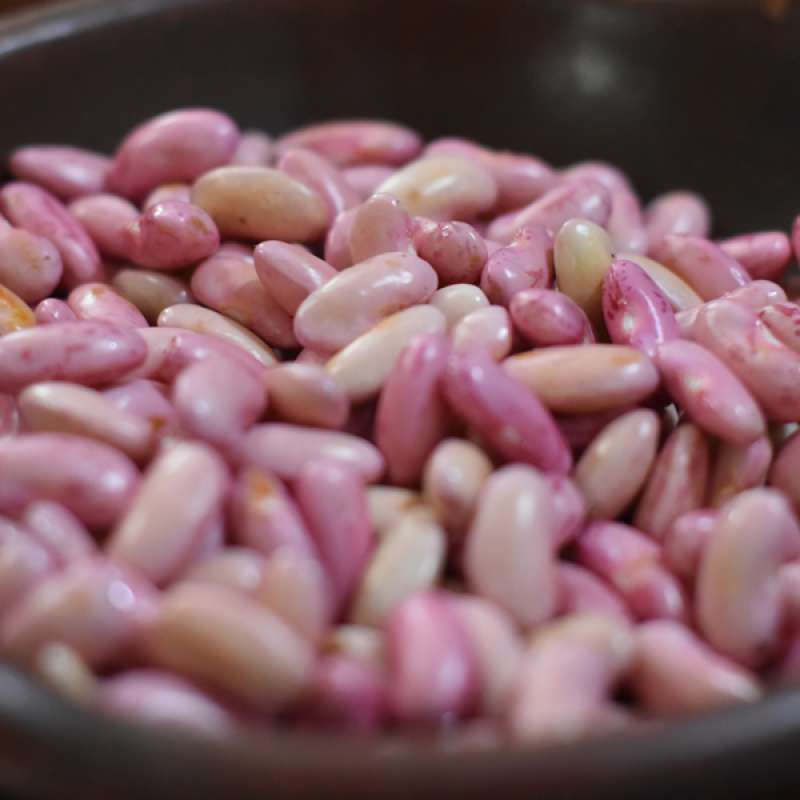 kacang merah kupas segar