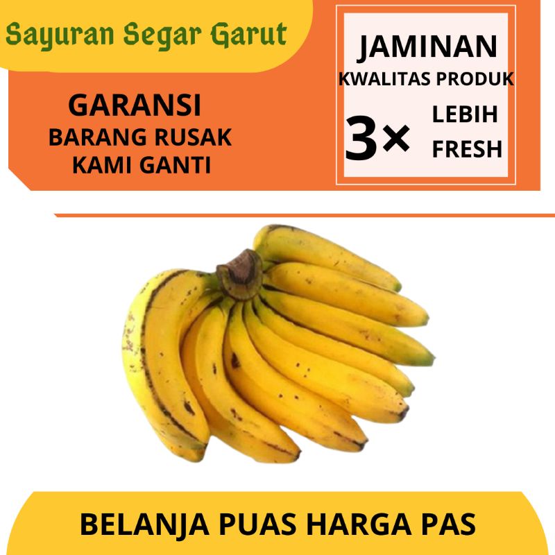 

Pisang Ambon Buah Segar Garut 1-1,2 kg