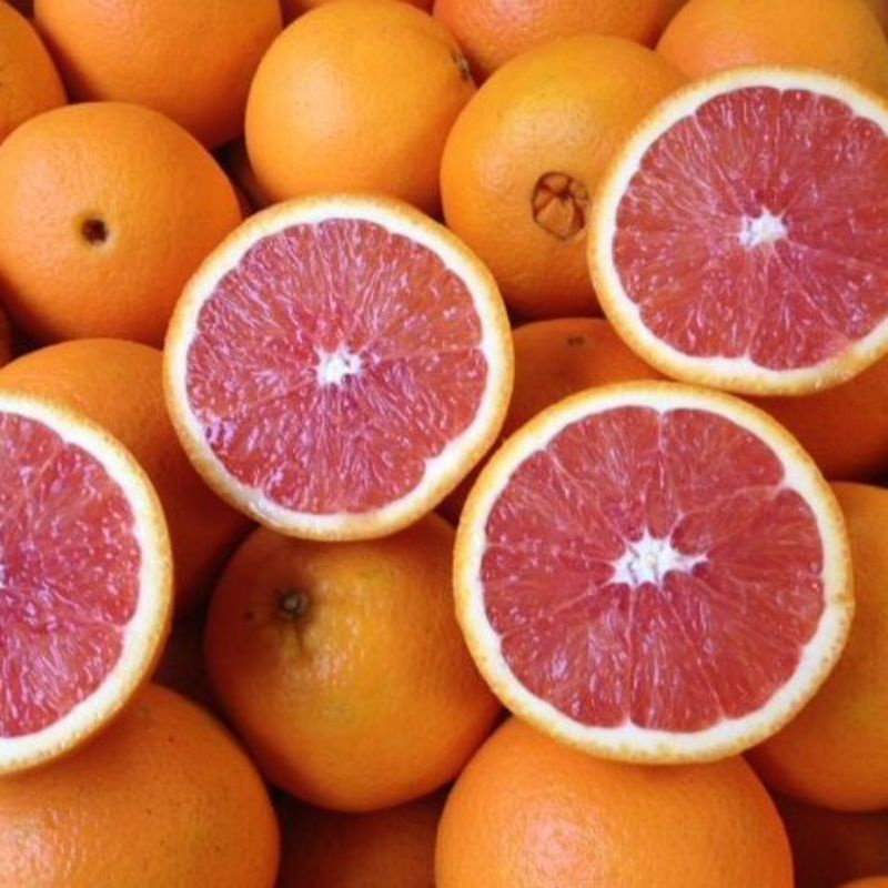 Jeruk sunkist cara-cara manis 1kg