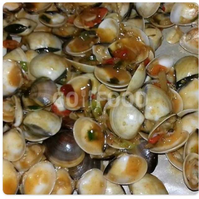 

Kerang tahu