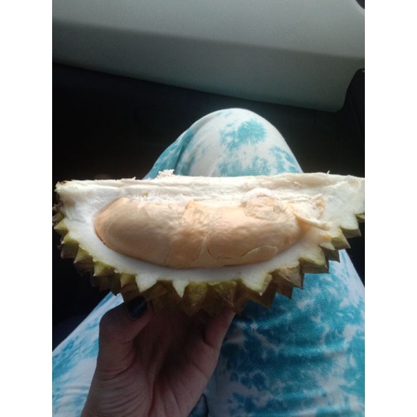 

durian lokal utuh