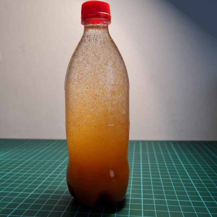 ♥ ARTEMIA SIENNA BY FISHOWNER 50G BIG RED - ARTEMIA TETAS ◌