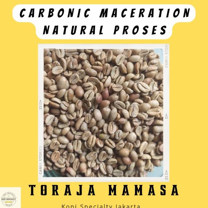 

Green Bean Arabika Toraja Sapan - Carbonic Maceration Natural Proses