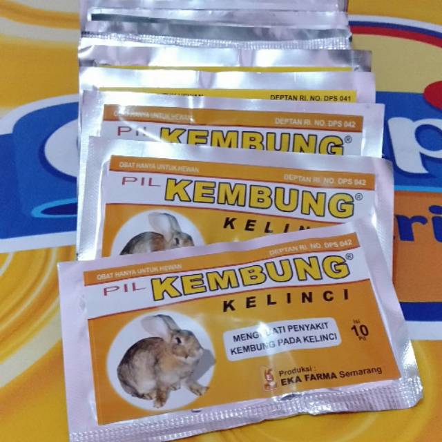 

Pil Kembung (obat pil untuk kelinci kembung, gejala-gejala kembung dan diare).
