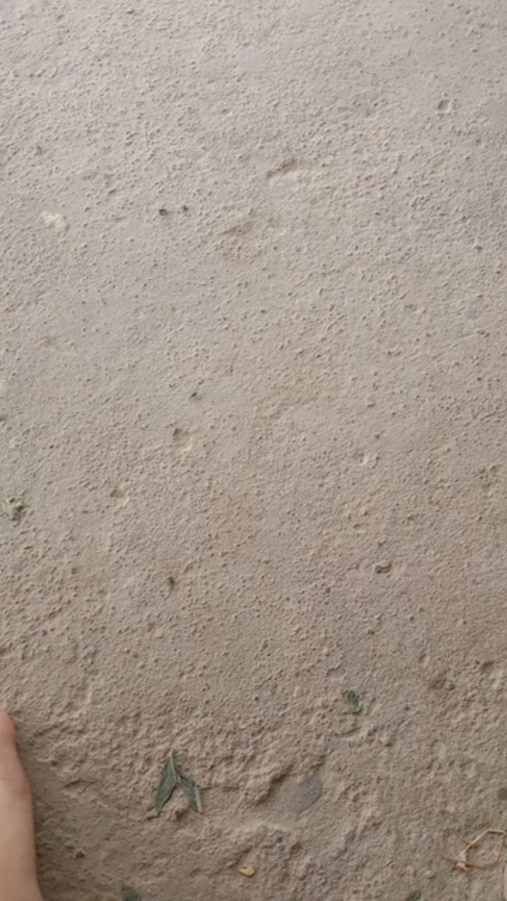 Maura Couple - Sania Ruffle Batik Couple