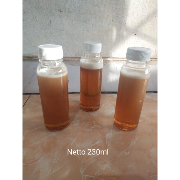 

madu multiflora asli