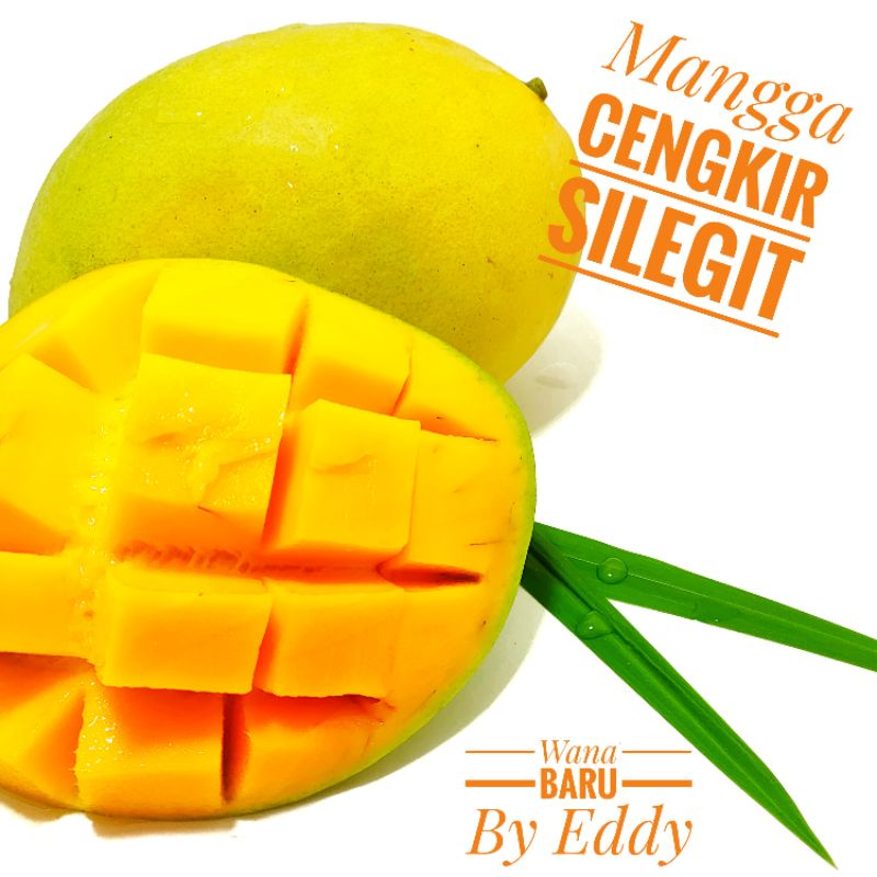 

mangga silegit khas demayu,buat ibu hamil/cengkir/manalagi #manggaindramayu