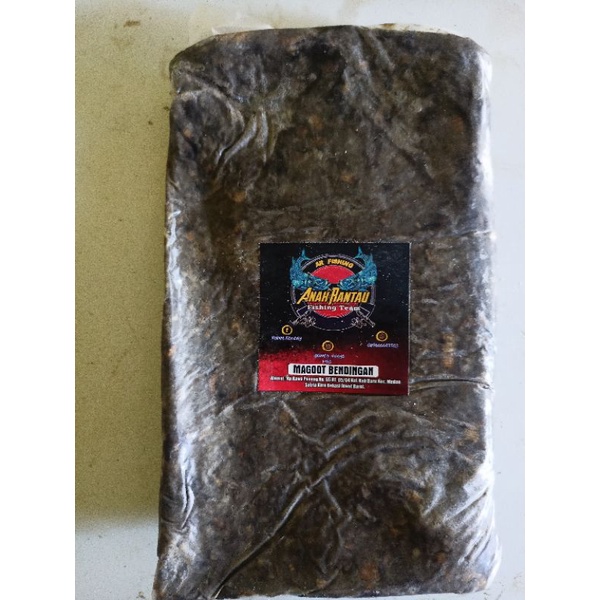 umpan Galatama ikan lele "Maggot bendingan" (Pelet maggot)