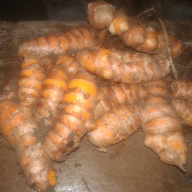 

KUNYIT (Kunir)