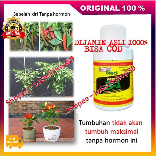 BELI 1 GRATIS 1 Hormonik Grow Plant Pemulihan Pohon Lemah Merangsang Pertumbuhan Akar 100% ASLI ORIG