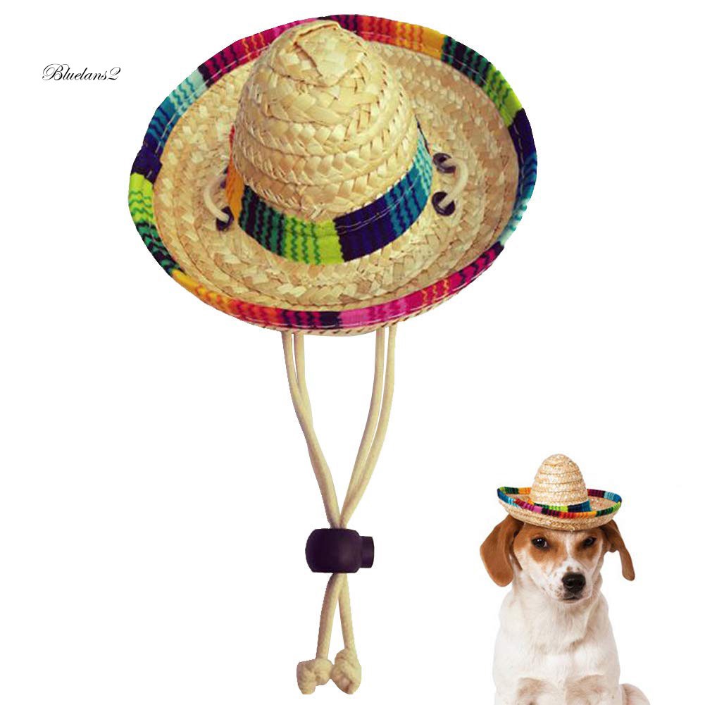 Bl2 Topi Jerami Anyam Mini Lucu untuk Anjing Kucing Bl2 Topi Jerami Anyam Mini Lucu untuk Anjing Kucing