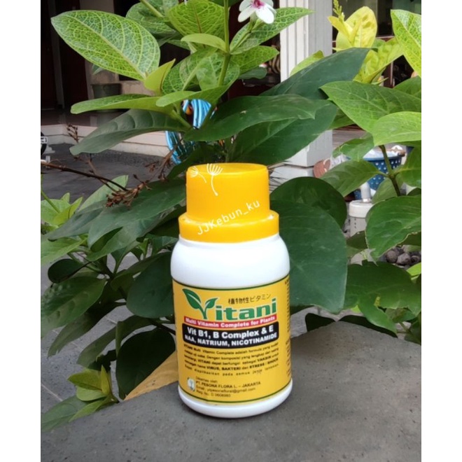 Jual Pupuk Vitani B1 Multivitamin Untuk Tanaman | Shopee Indonesia