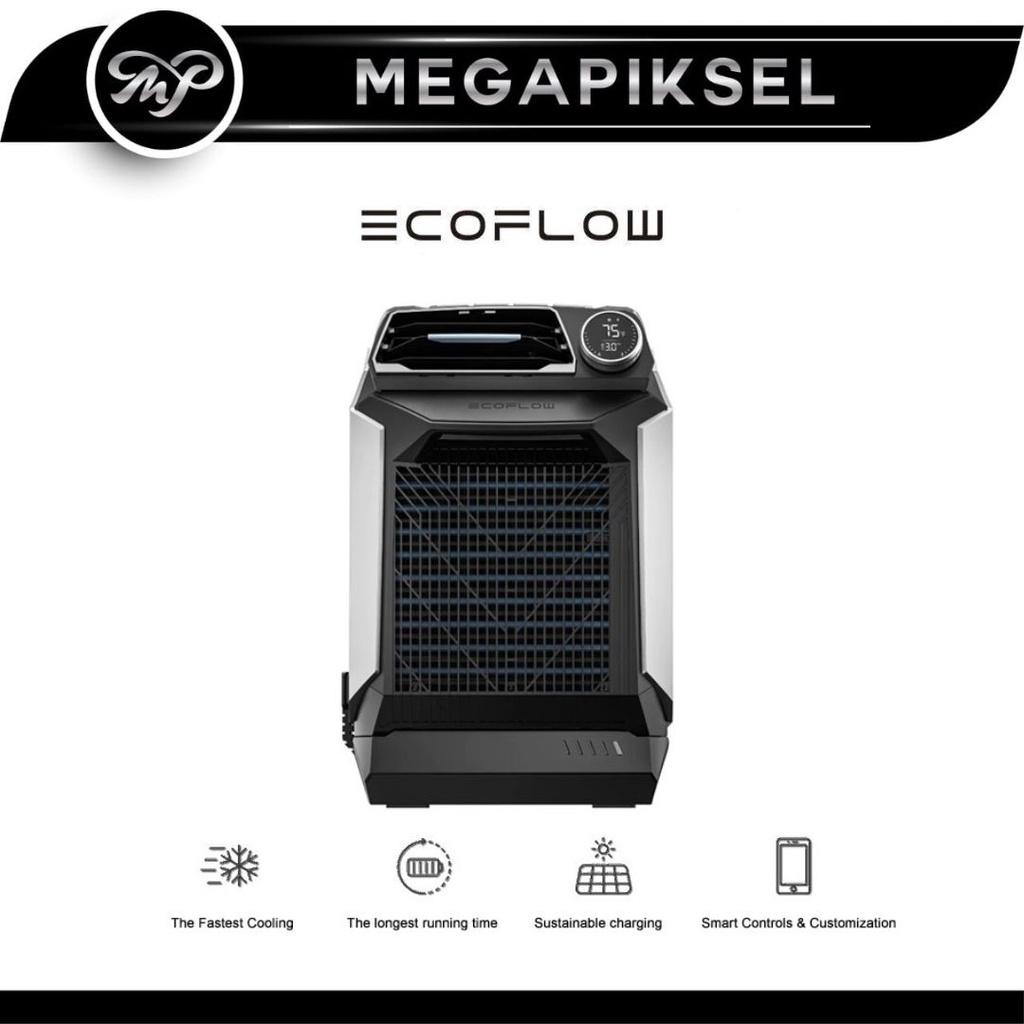 EcoFlow Wave AC Portable