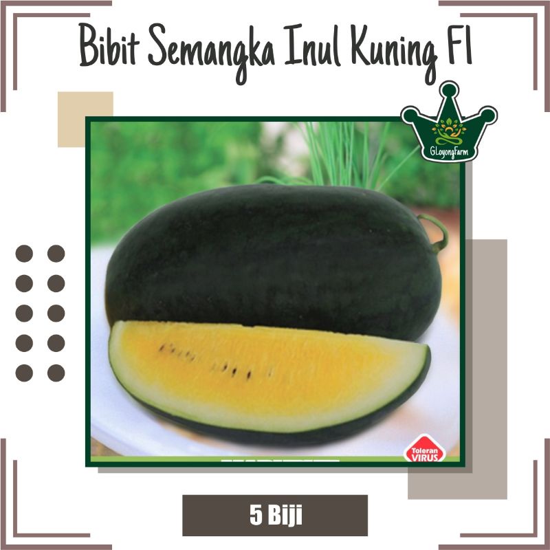 Bibit Semangka Inul Kuning F1 Hibrida - Benih Buah