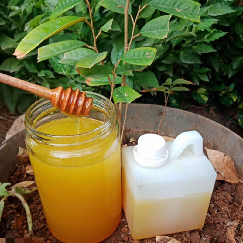 

Madu Kaliandra