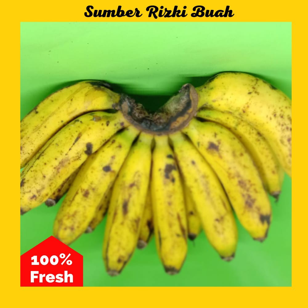 

PISANG BARANGAN SESISIR MURAH MERIAH