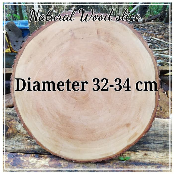 Wood slice wooden log diameter 32-34 cm dekorasi craft DIY