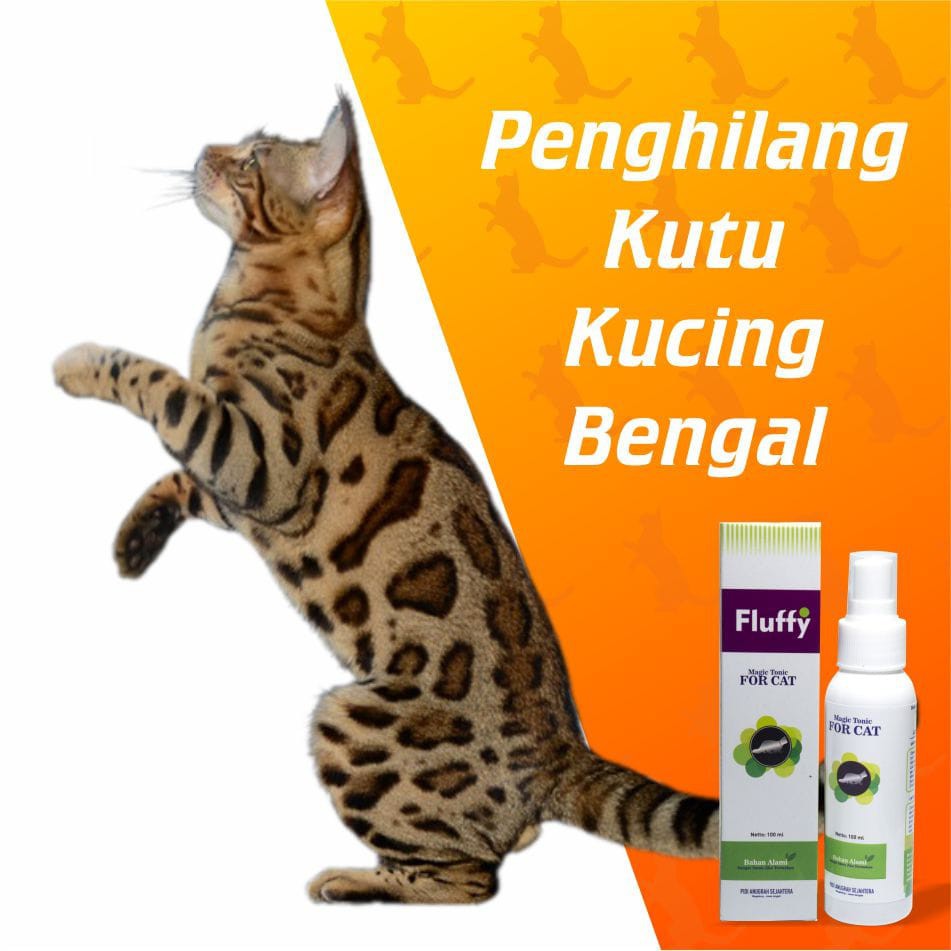 Cara Menghilangkan Kutu Kucing Ampuh Menggunakan Fluffy Tonic Shopee Indonesia