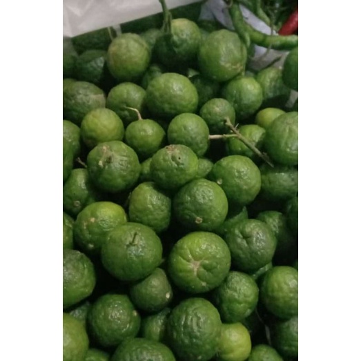 

JERUK |SEGAR | 1 KG